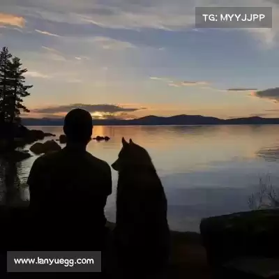 刁奕曦